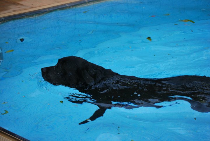 neg piscinaa dentro.jpg