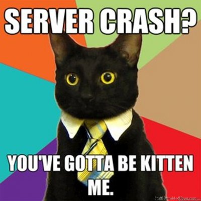 Business-Cat-Meme-Cat-Meme-Funny-lol-pictures-cats-jokes-server-crash-computer-problems_thumb.jpg